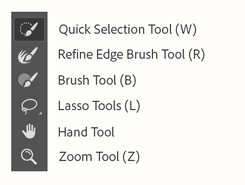 quick selection tool